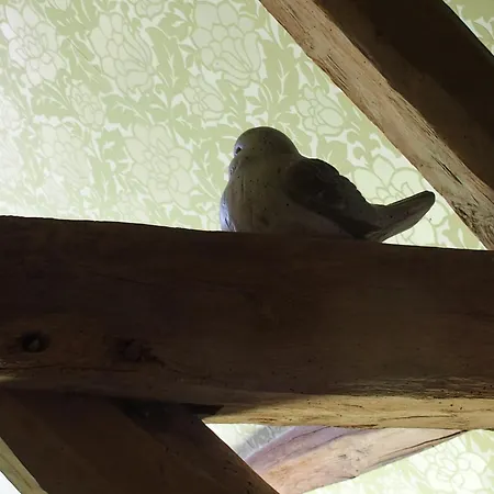 Anc. Seigneurie De Boucaut * Tournai